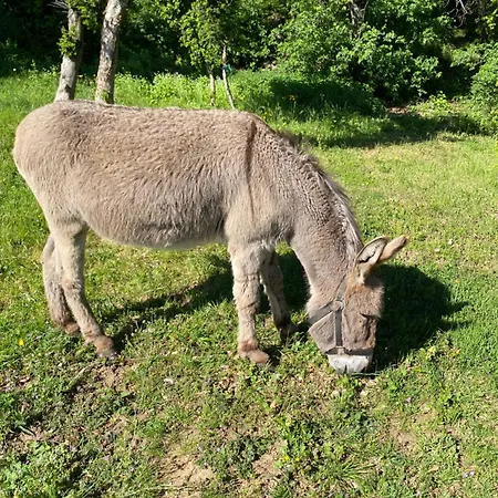 A La Campagne Daire Saint-Péray
