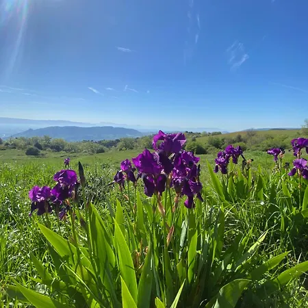 A La Campagne Saint-Peray